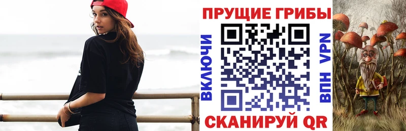 Псилоцибиновые грибы Psilocybine cubensis  Купить закладки  Екатеринбург 